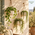 BsfeHaf™ Natural Rope Hanging Planter Set