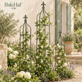 BsfeHaf™ Château Obelisk Garden Trellis Set